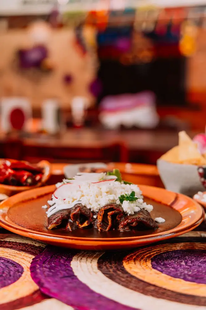 Enchiladas bañadas en mole con queso fresco, cebolla y rábano